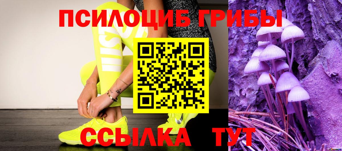 Псилоцибиновые грибы прущие грибы  магазин продажи наркотиков  Назарово  Псилоцибиновые грибы Psilocybine cubensis  Вход с VPN 